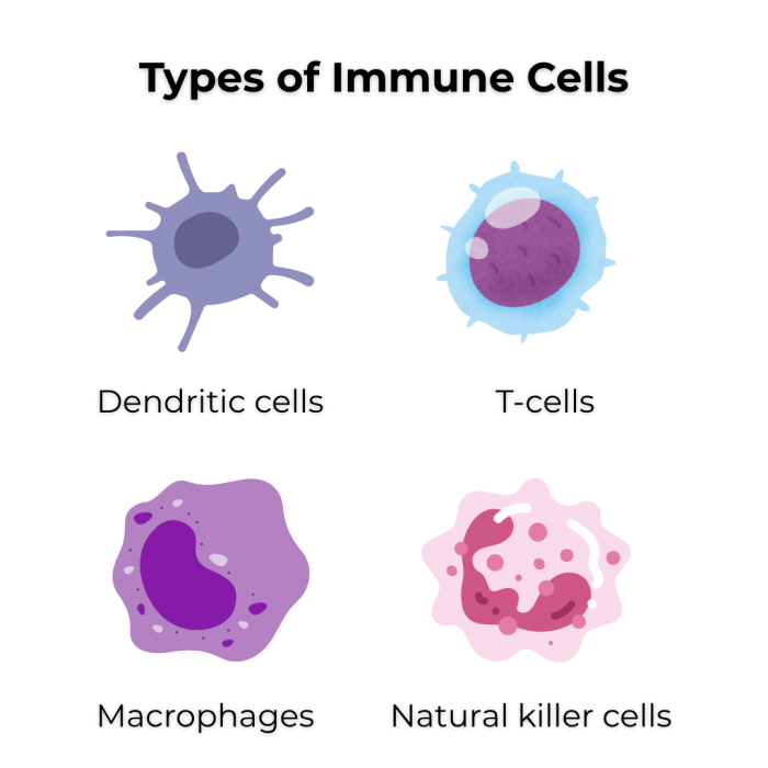 Types of Immune Cells: Dendritic cells, T-cells, Macrophages, Natural killer cells
