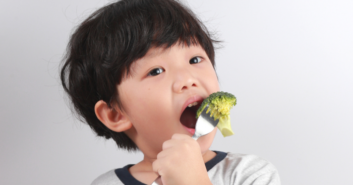 Macronutrients and Micronutrients needed to optimise your child’s catch-up growth