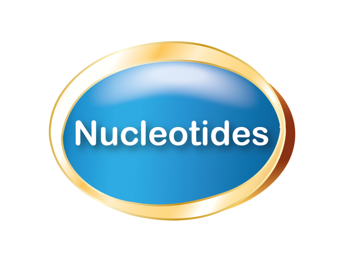 nucleotides_top3_essential_nutrients_for_your_child_morinaga